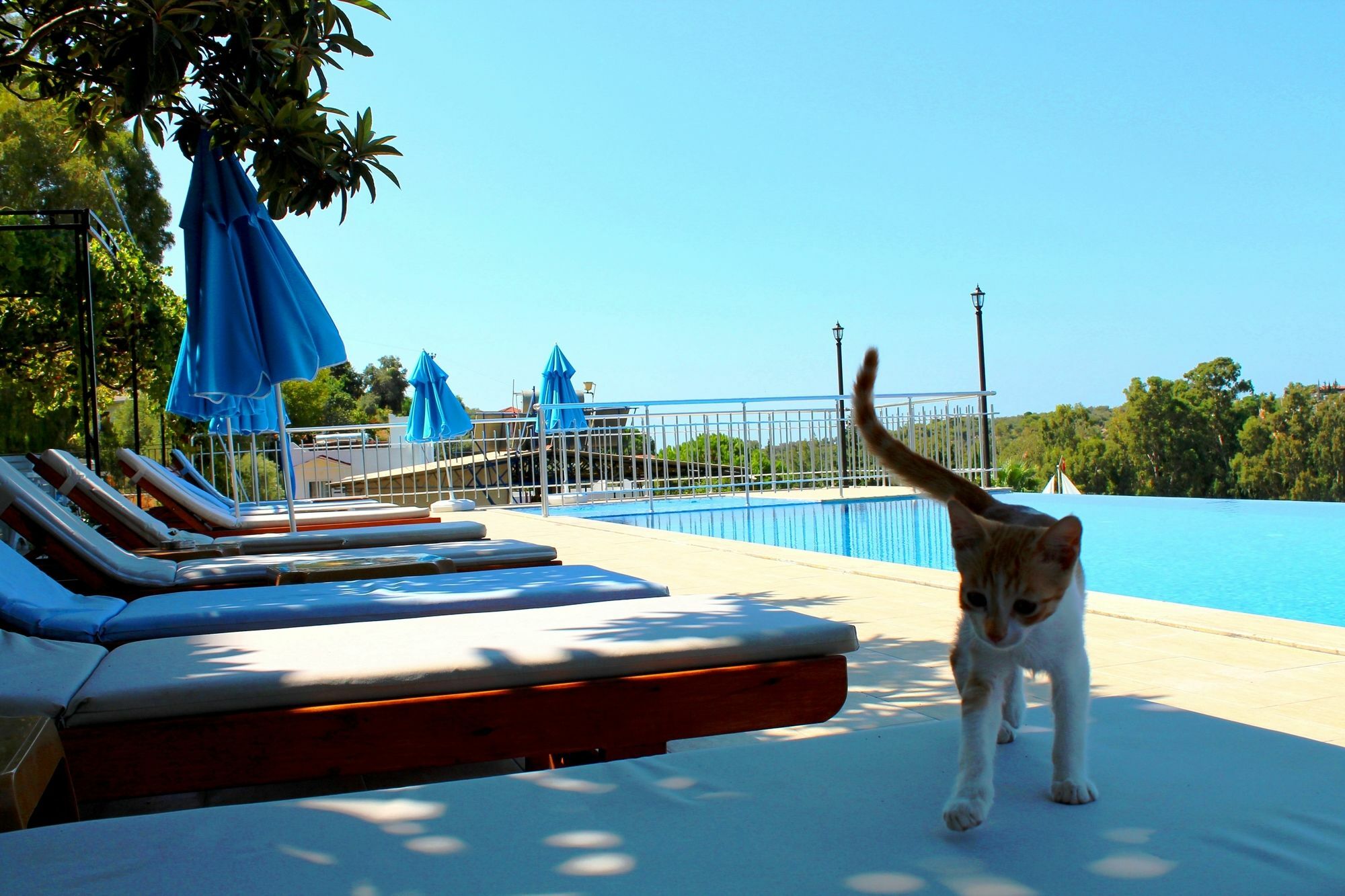 Hotel Patara Sun Club Esterno foto